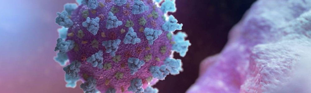 Não há solução melhor que aquela que busca o equilíbrio das forças&nbsp;contrárias